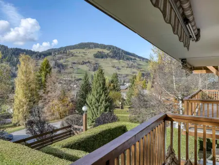 Appartement rénové 2 pièces + cabine, parking à Megève : photo 8