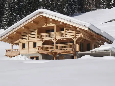 Appartement Perriades avec cheminée, terrasse sud-ouest, Le Grand-Bornand : photo 10