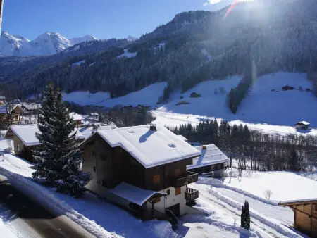 Appartement Merisier 4 pers. avec balcon sud, Le Grand-Bornand : photo 11