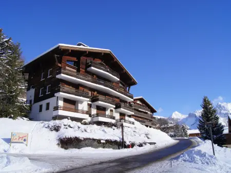 Appartement Merisier 4 pers. avec balcon sud, Le Grand-Bornand : photo 13