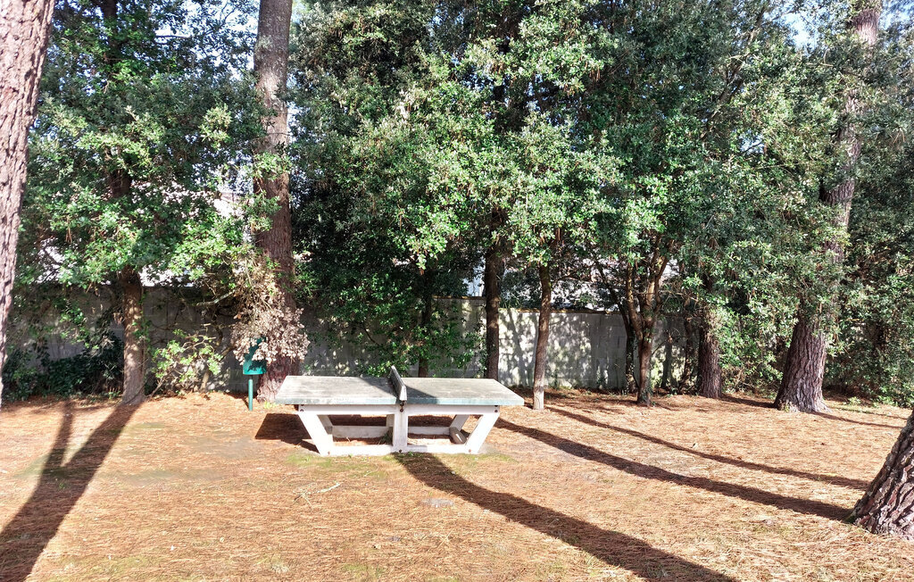 Appartement 42 m² avec terrasse à 250 m de la plage - Photo 13