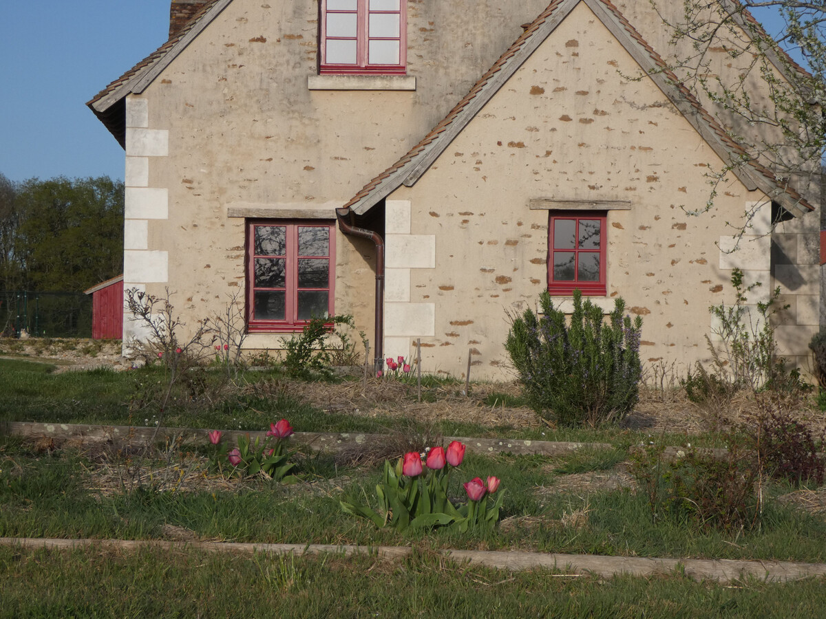 Gîte 10 pers. en Berry : 50 hectares, nature et calme - Photo 27