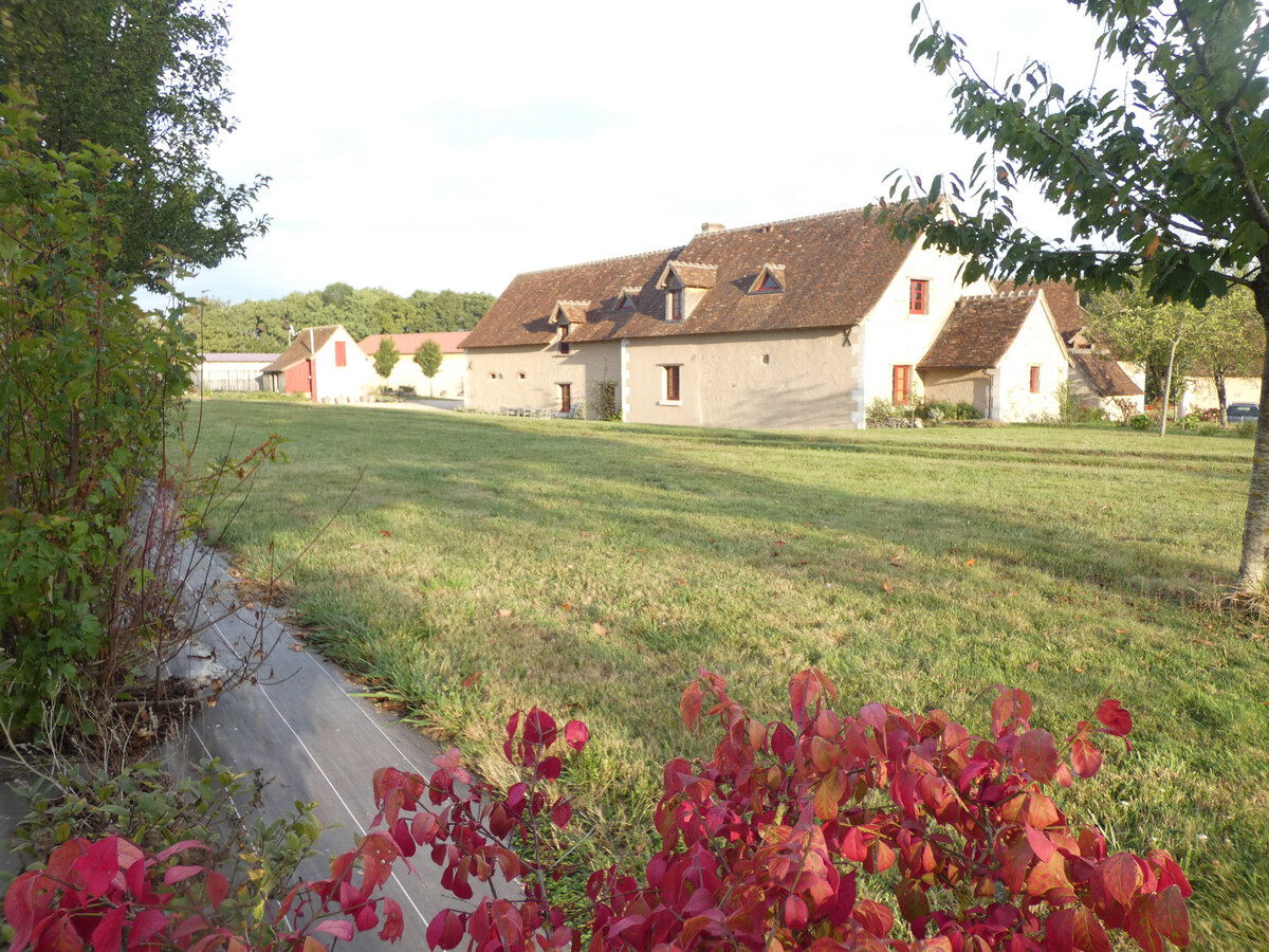 Gîte 10 pers. en Berry : 50 hectares, nature et calme - Photo 29