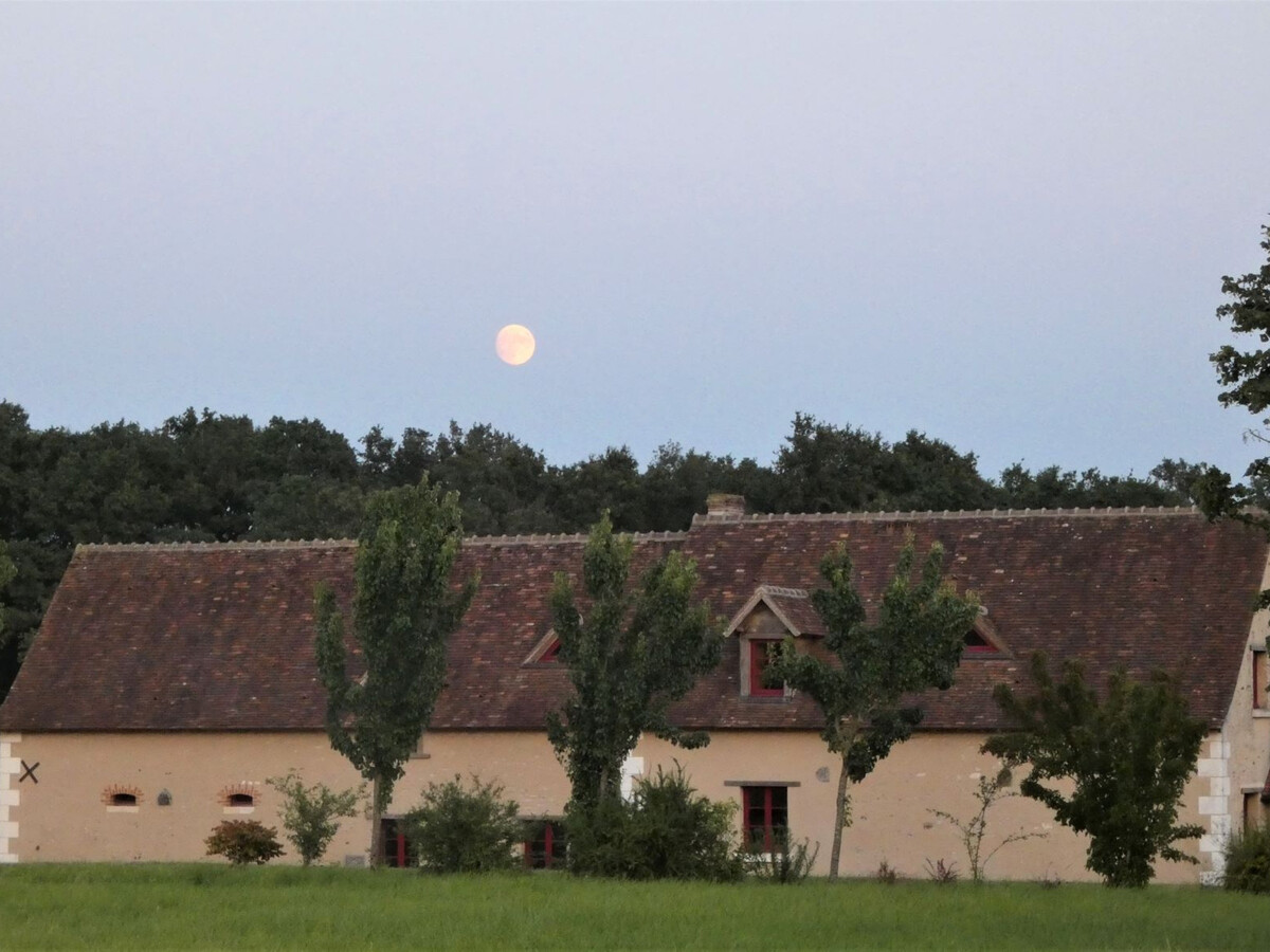 Gîte 10 pers. en Berry : 50 hectares, nature et calme - Photo 30