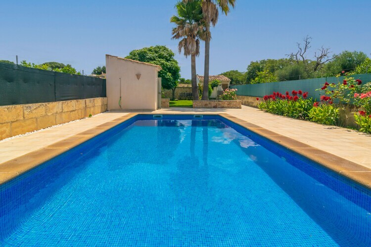 Villa Es Desaigua à Llubí : piscine 7,5 m et terrasses - Photo 10