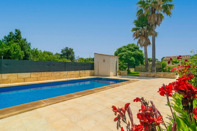 Villa Es Desaigua à Llubí : piscine 7,5 m et terrasses - Photo 11