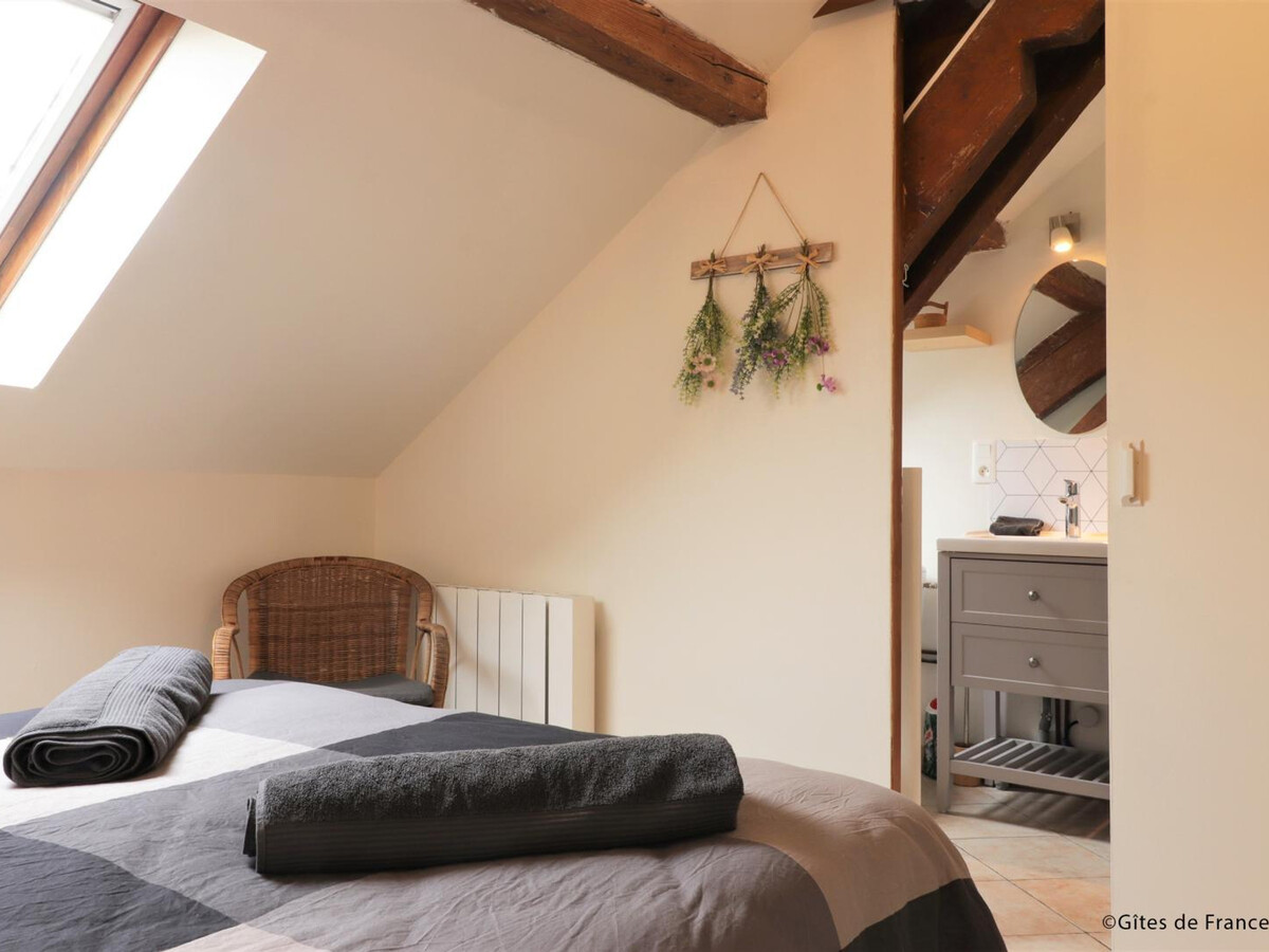 Gîte rural Normandie : observez le brame du cerf - Photo 10