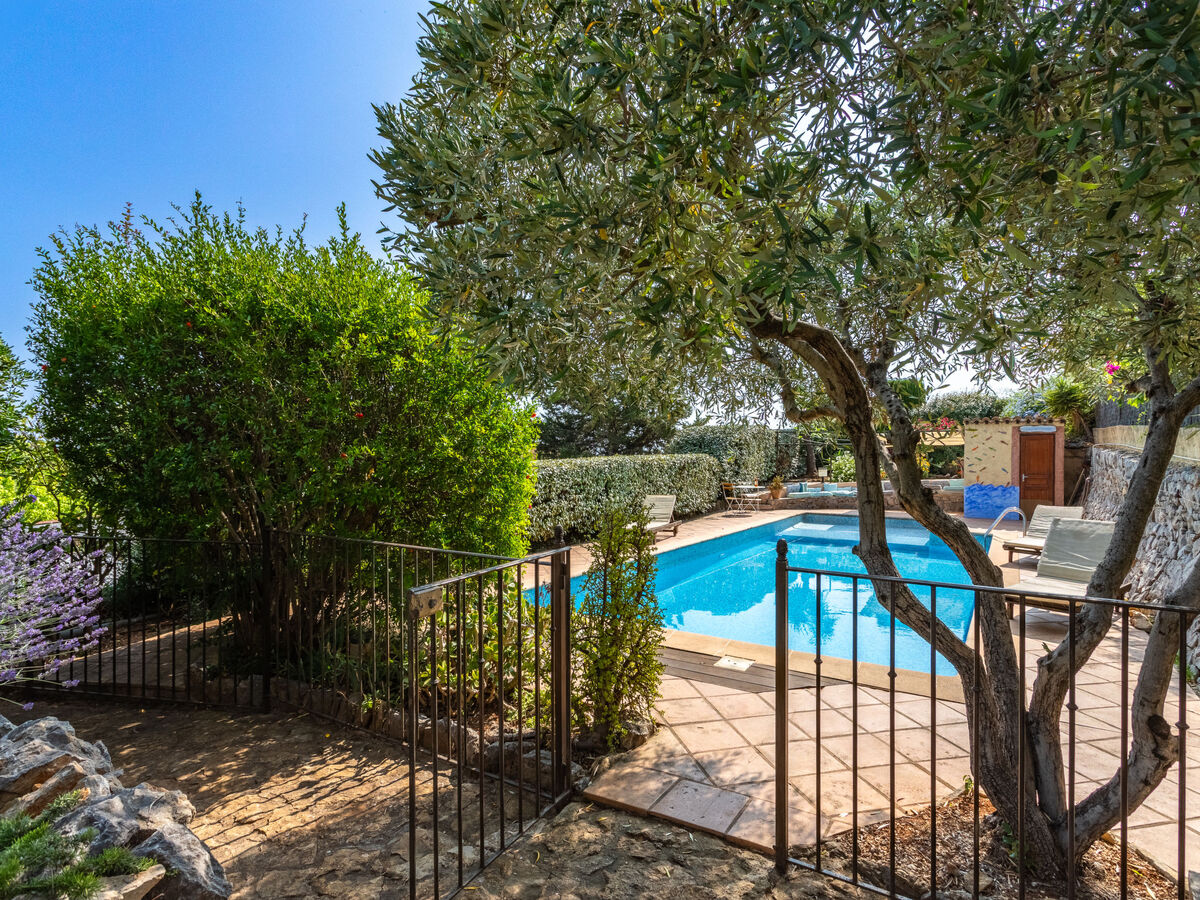 Appartement Mimosas avec piscine à Carqueiranne - Photo 2