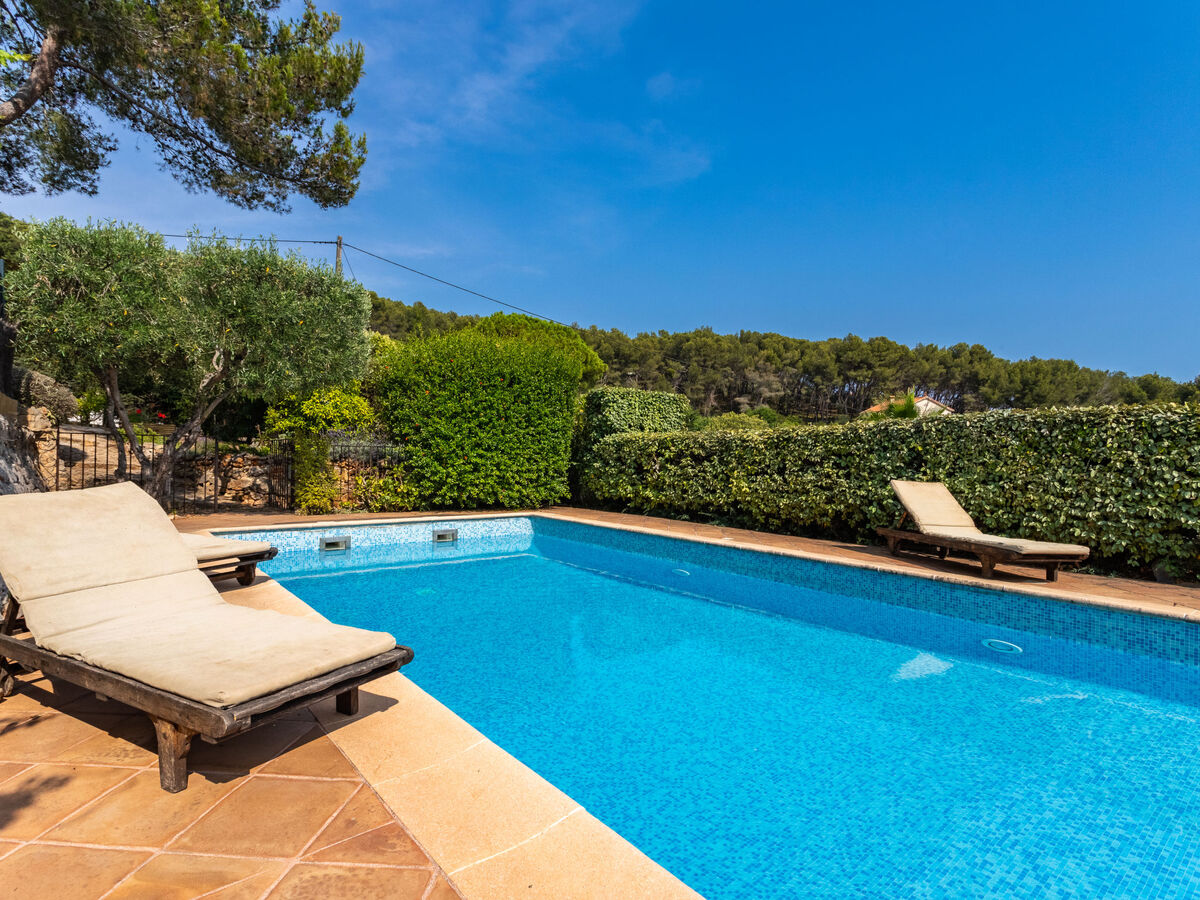 Appartement Mimosas avec piscine à Carqueiranne - Photo 22