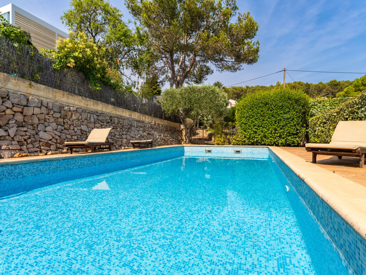 Appartement Mimosas avec piscine à Carqueiranne - Photo 23