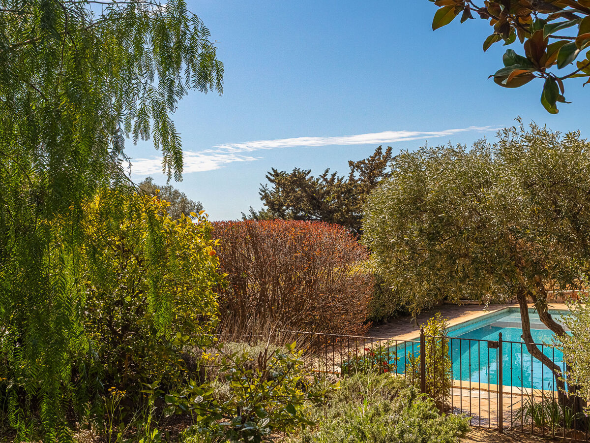 Appartement Mimosas avec piscine à Carqueiranne - Photo 24