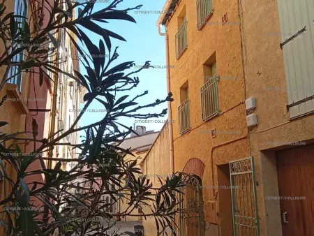 Maison de ville charmante à Collioure, proche plage - Photo 17