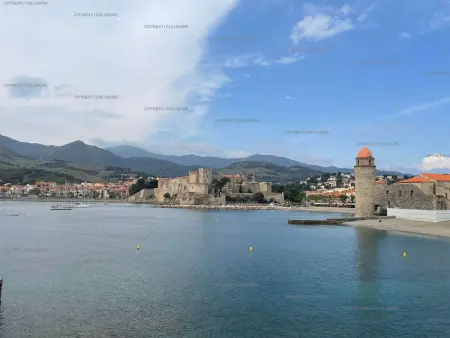 Maison de ville charmante à Collioure, proche plage - Photo 22
