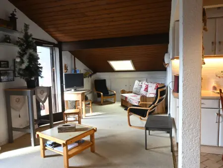 Location appartement à Châtel, Confortable 3 pièces, 6 pers, balcon sud, proche télésiège, animaux OK, parking, WiFi