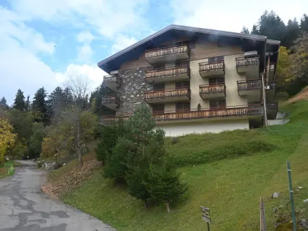 Appart 3 pièces 6 pers à Châtel, 400 m télésiège : photo 17