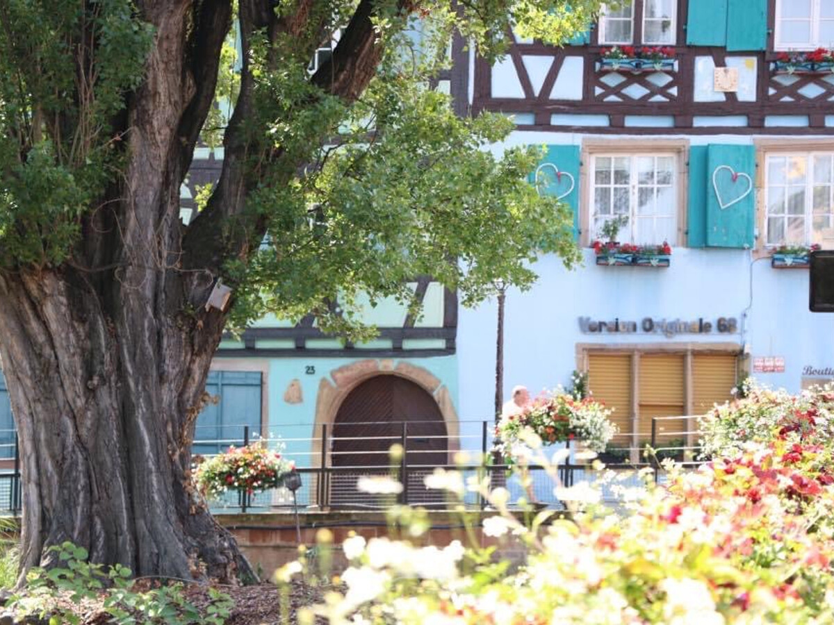 La Maison du Trèfle – Gîte 3 étoiles, 8 pers. à Colmar - Photo 24