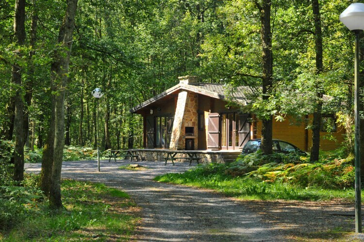 Chalet Mélèze à Viroinval, poêle à bois et vue - Photo 5