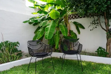 Casa Alejandro – Maison 2 ch, 300 m de la plage : photo 32