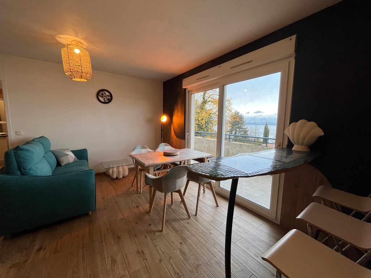 Appartement 40 m² avec balcon vue lac et parking à Évian - Photo 1