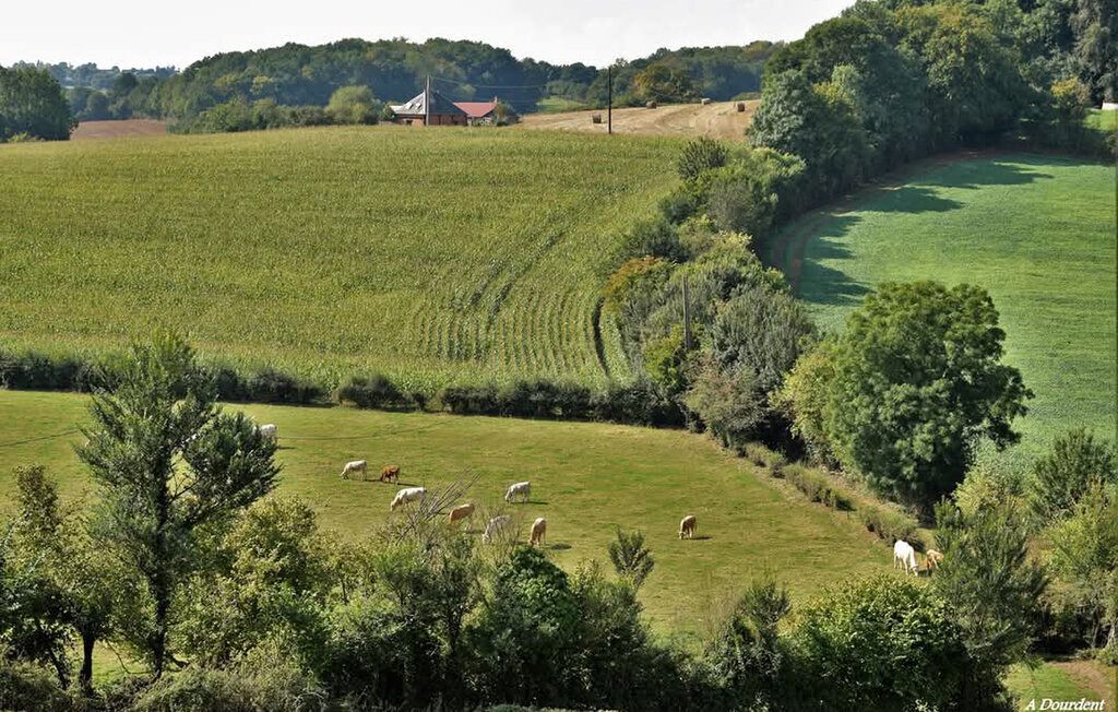 Maison au bord de l'étang à Milly-sur-Thérain - Photo 21