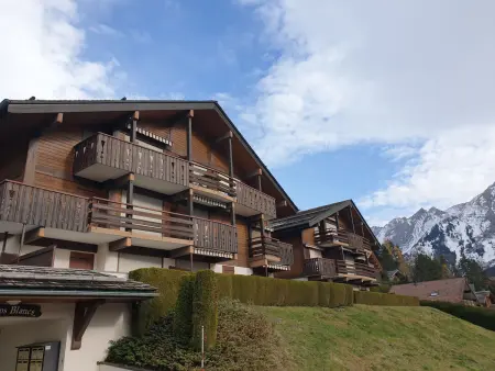 T2 design à La Clusaz, terrasse sud et garage : photo 16