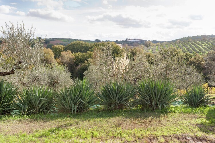 Maison Sagrantino, ferme du XIXe dans les vignobles ombrien - Photo 26