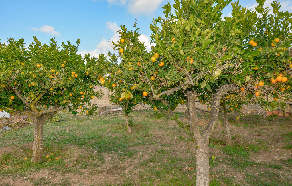 Casa Nonno Luciano, Maison 7 personnes à Comiso - Photo 17