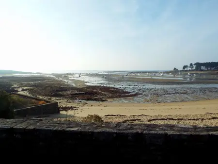 Appart 2 pièces vue mer face à la plage : photo 15