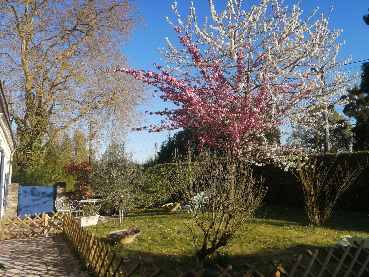 Gîte rénové 42m² avec terrasse privée près d'Angers - Photo 32