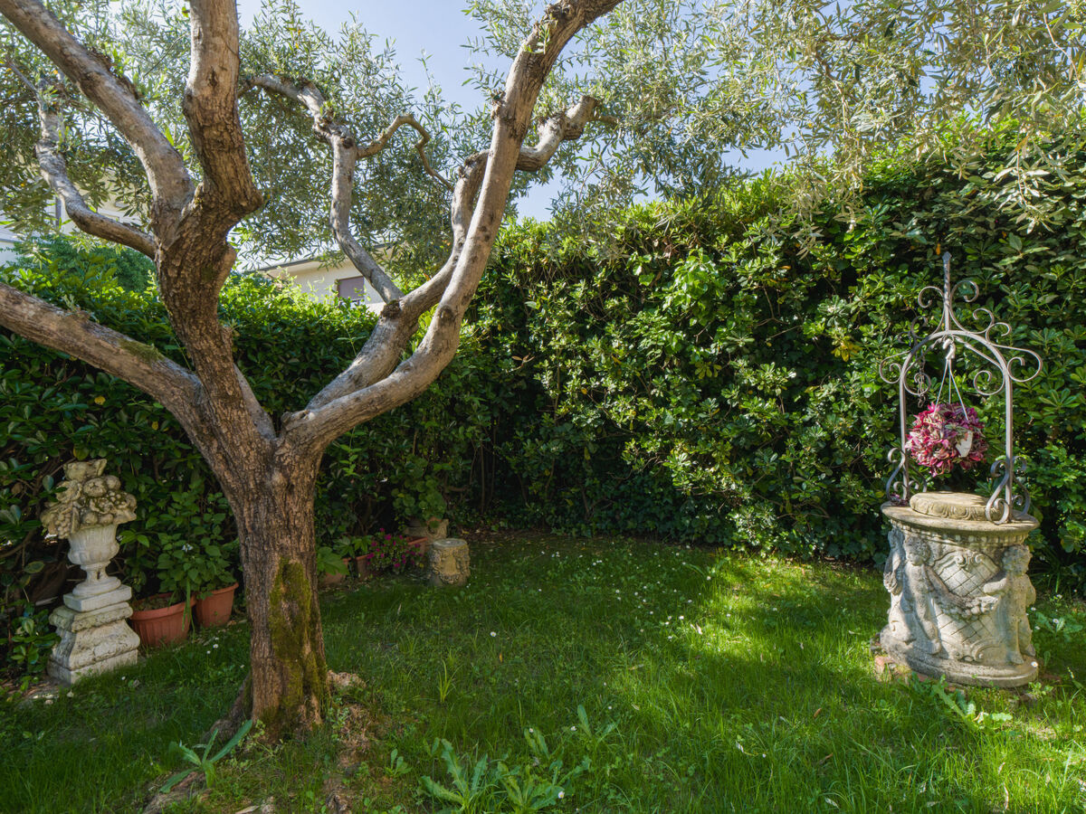 Villino Viola – Maison 3 chambres Marina Pietrasanta - Photo 41