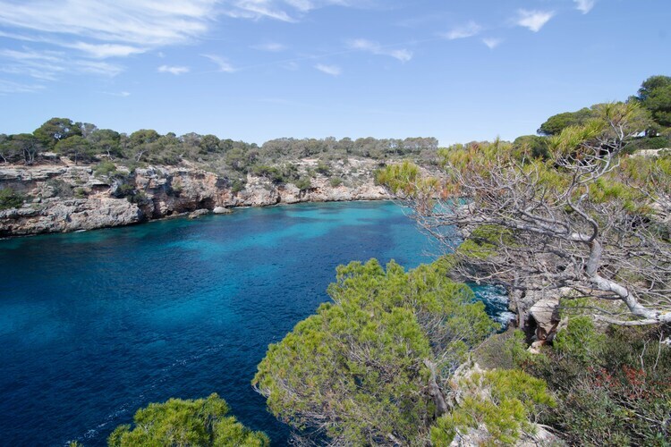 Casa Garonda : villa 6 pers avec piscine à Cala Pi - Photo 26