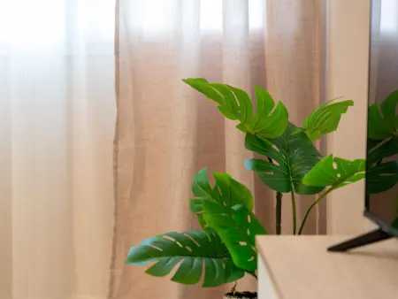 Appartement vue mer à La Isleta, rez-de-chaussée Las Canteras : photo 25