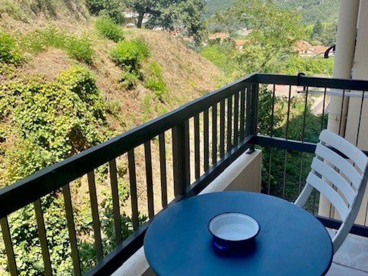 Studio 28m² balcon à Amélie-les-Bains, 50m des cures - Photo 8