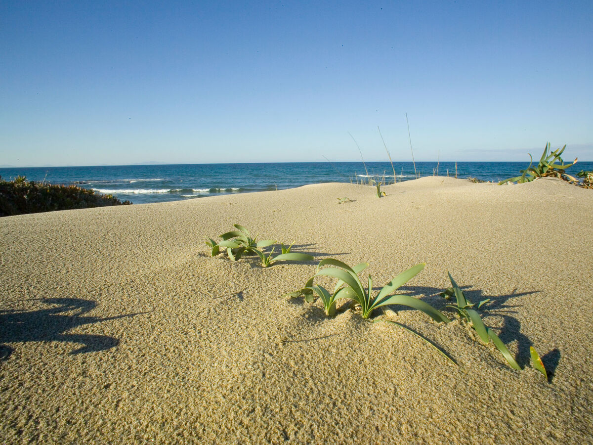 Ammentos - Villa Marina di Sorso, 280 m de la mer - Photo 42