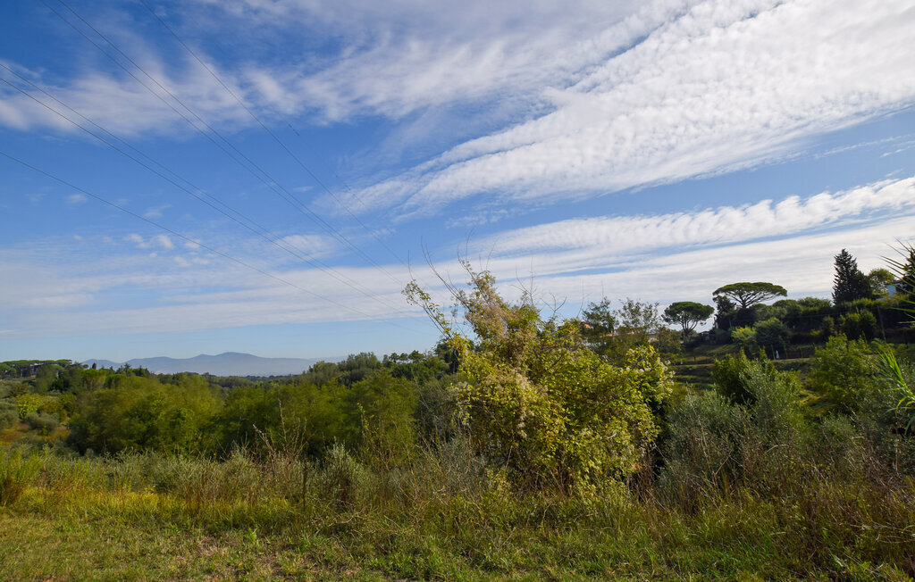 Maison 6 personnes à Fauglia - Photo 18