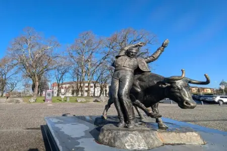 La Maison Seberika à Dax, jardin privé : photo 17