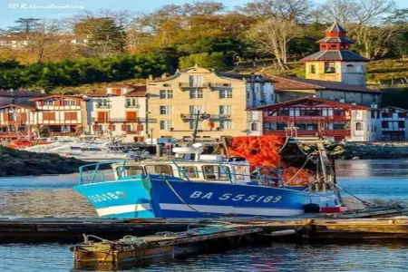La Maison Seberika à Dax, jardin privé : photo 24