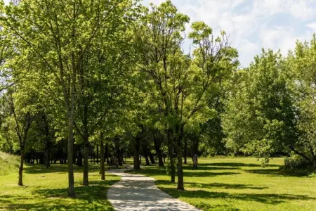 La Maison Seberika à Dax, jardin privé : photo 33