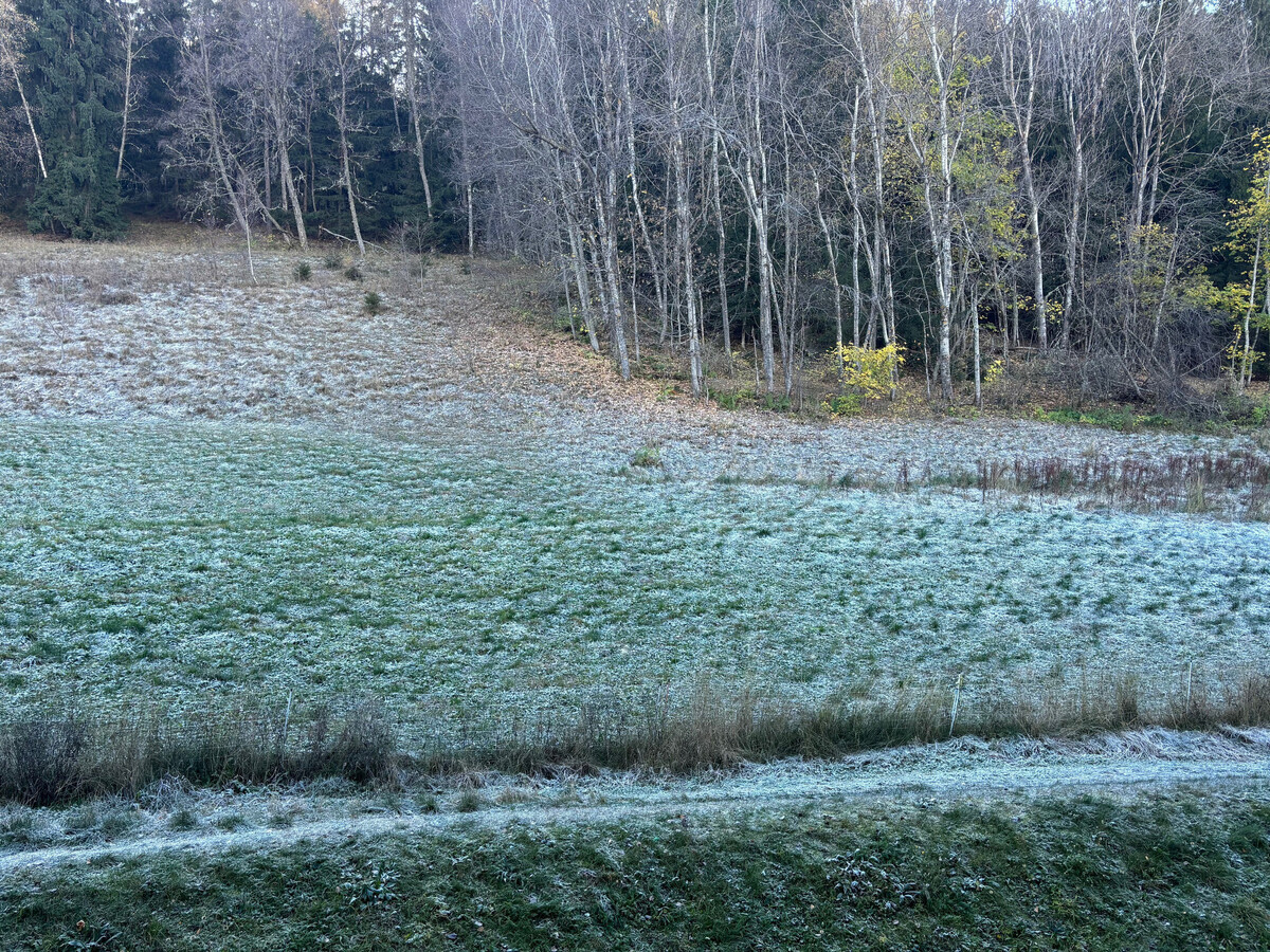 Studio 5 pers. Montchavin, 150m des pistes, parking - Photo 7