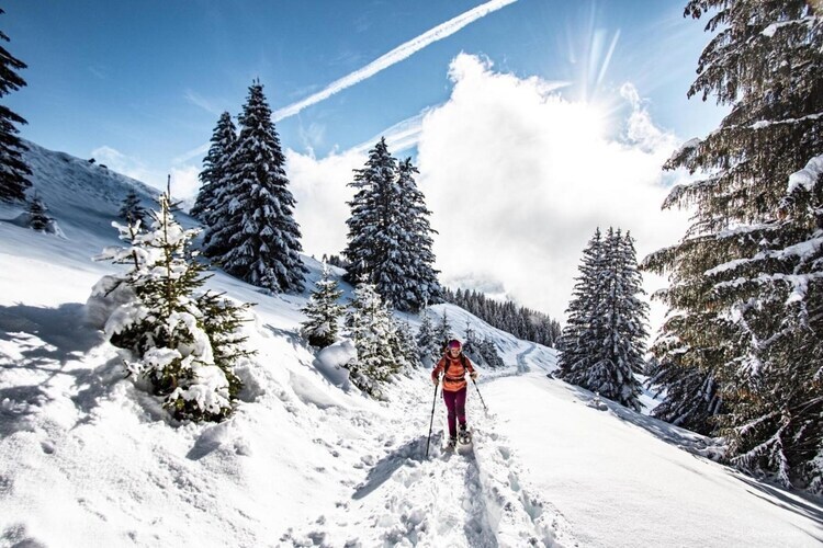 Christina CR19 : maison 3 pers. à Châtel, vue montagne - Photo 25