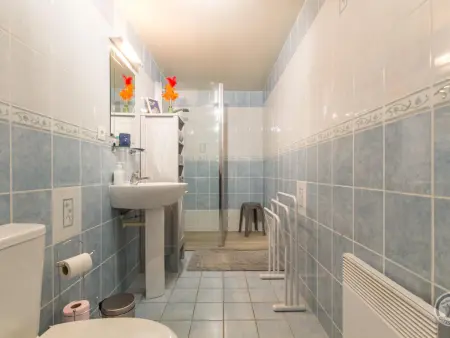 Duplex avec mezzanine, jardin et parking à Barneville-Carteret : photo 6