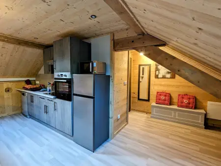 Appartement 42m² neuf avec parking, 3 km des pistes : photo 2