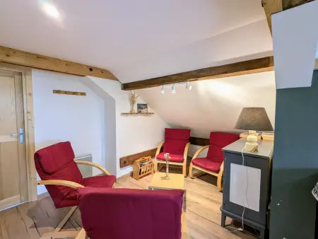 Appartement montagnard La Bresse, 4 pers, terrasse privée : photo 7