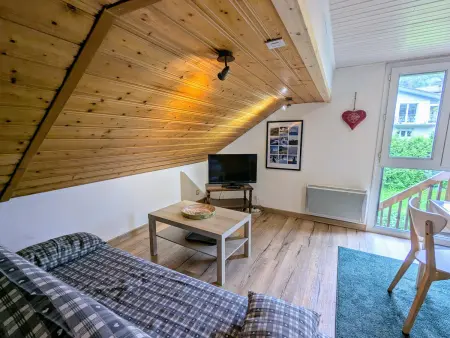 Appartement montagnard La Bresse, 4 pers, terrasse privée : photo 9