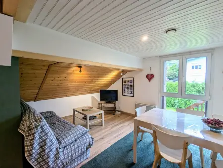 Appartement montagnard La Bresse, 4 pers, terrasse privée : photo 10