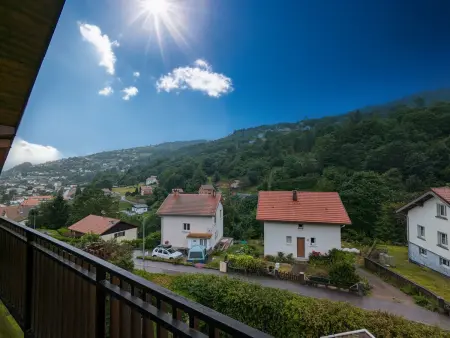 Appartement montagnard La Bresse, 4 pers, terrasse privée : photo 18