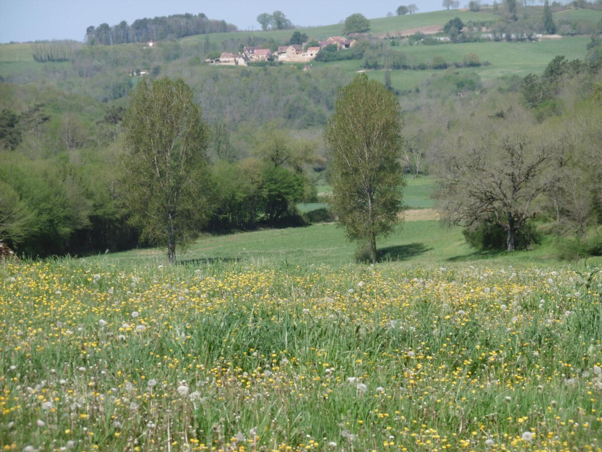 Gîte rustique en pierres près de Sarlat, 3 pers., jardin clos - Photo 3