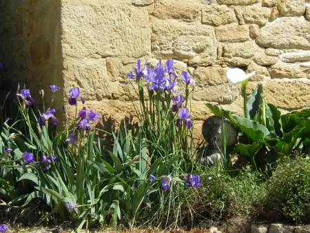 Maison en Dordogne avec Wifi et vélos, proche sites touristiques - Photo 4