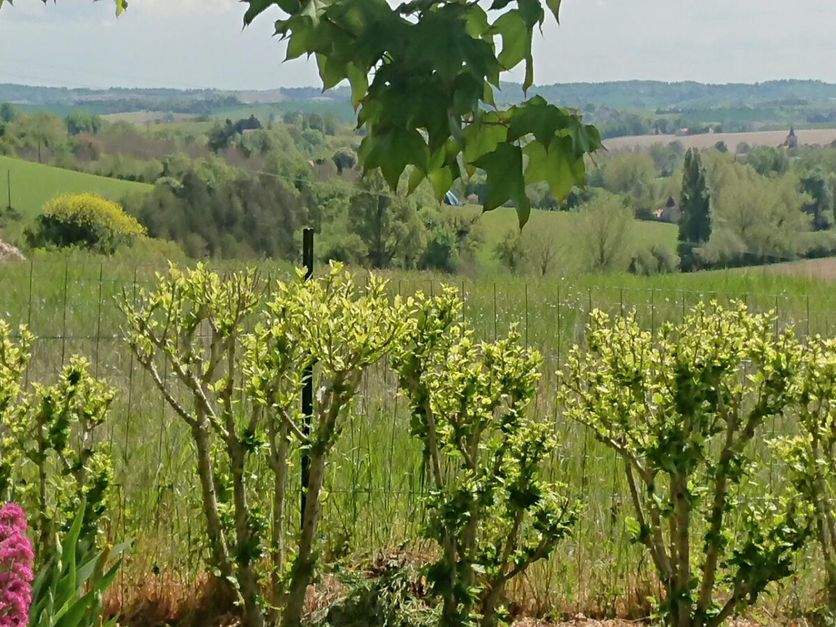 Gîte Le Breuil - 6 pers., jardin clos et terrasses - Photo 26