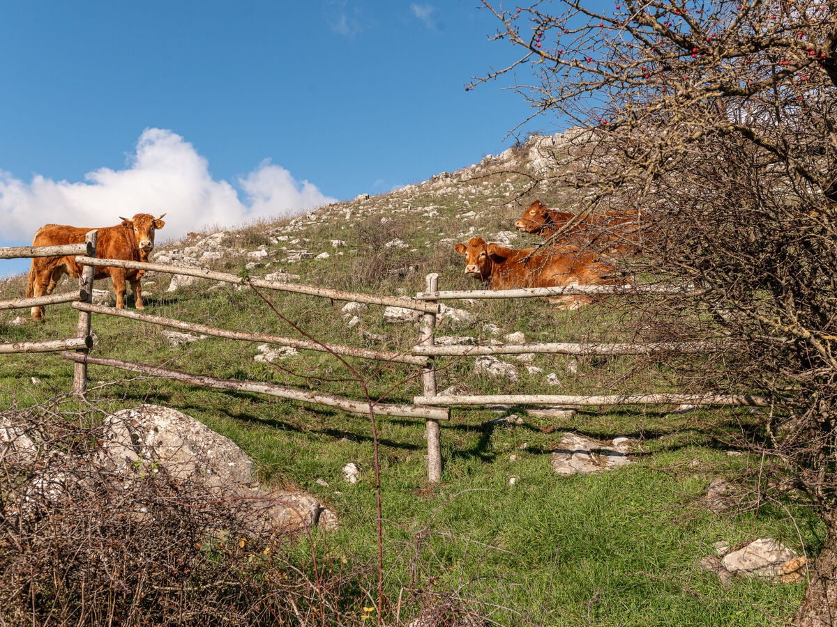Aria – Maison rénovée 2024 à Arcidosso - Photo 3